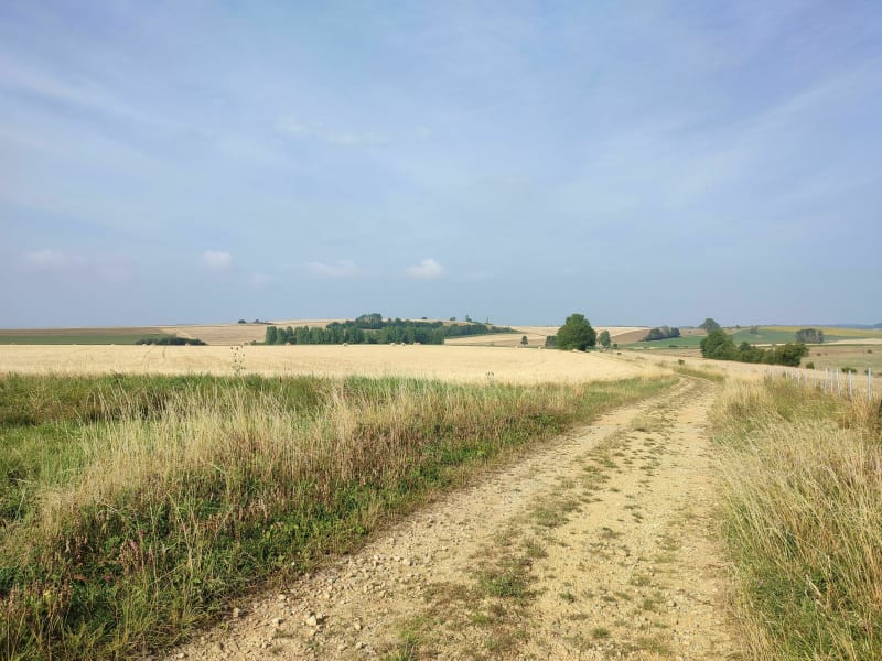 Promenade autour de St Jean et Villers le rond - Saint-Jean-lès-Longuyon