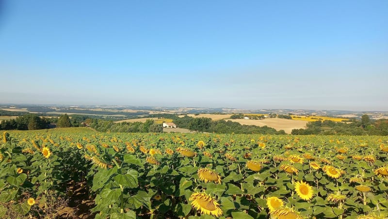 Chemin des randonneurs - Castet-Arrouy