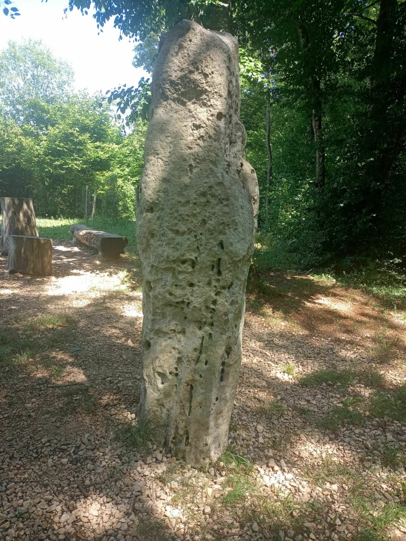 Ballade en forêt à la découverte de la Pierre au Jo - Norroy-lès-Pont-à-Mousson