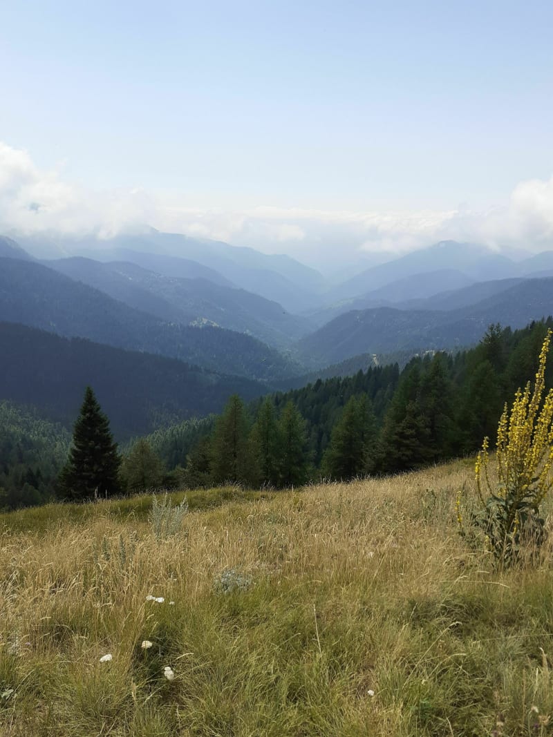 Col de Turini et camp d'Argent - La Bollène-Vésubie