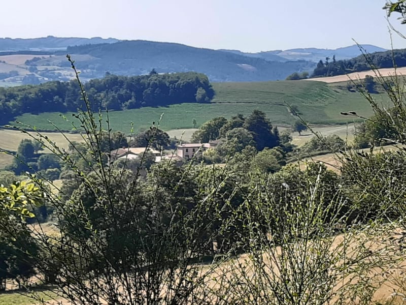 Fraîche balade dans le haut beaujolais. - Vauxrenard
