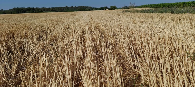 Petite marche autour de Mazan - Mazan