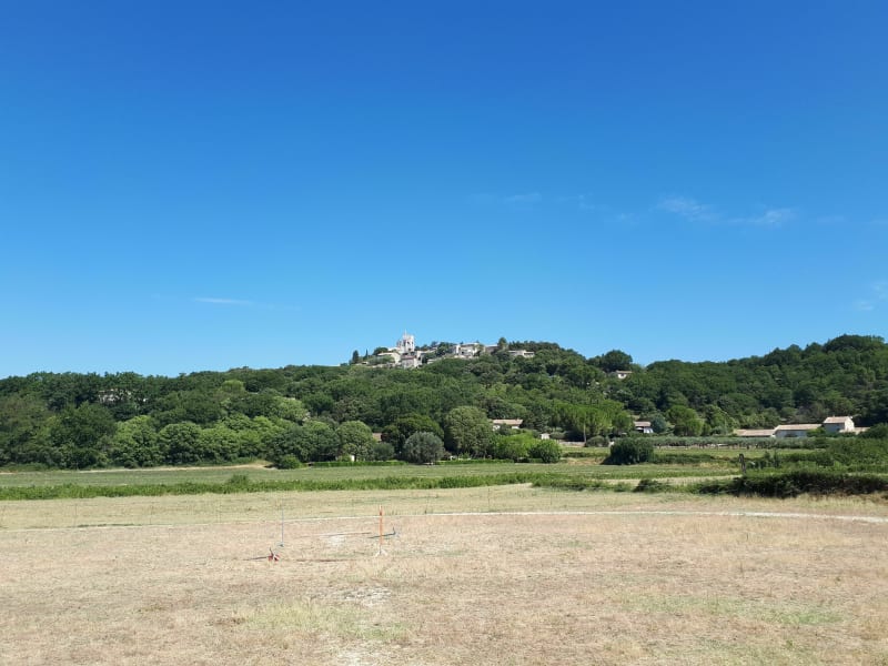 Du Chameau à Clansayes - Saint-Paul-Trois-Châteaux