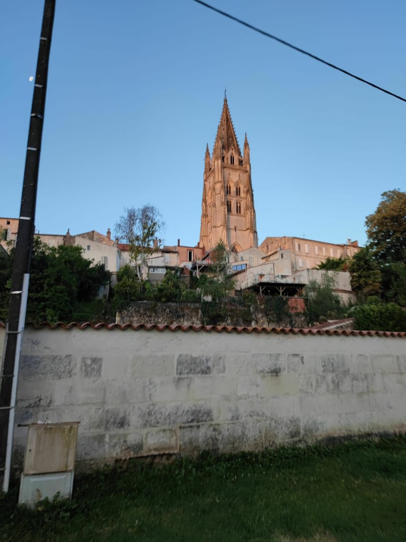 Canicross matinal à Saintes - Saintes