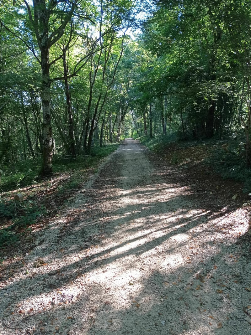 Combe Baron - Saint-Martin-du-Mont