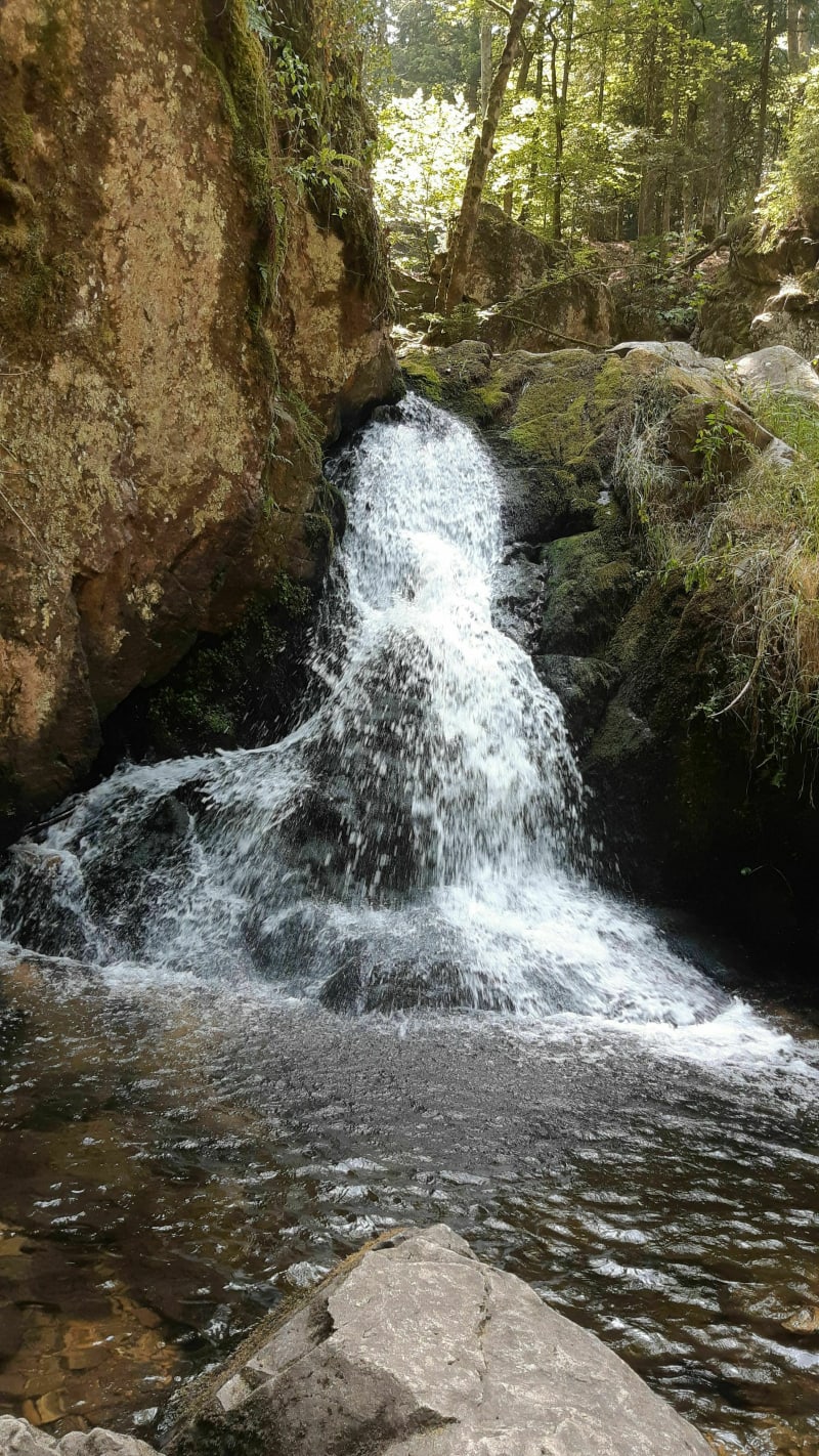 Grande cascade à la petite cascade du Tendon - Le Tholy