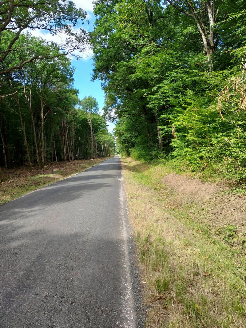Entre canal, forêt et plaines cultivées - Saint-Jean-de-Braye