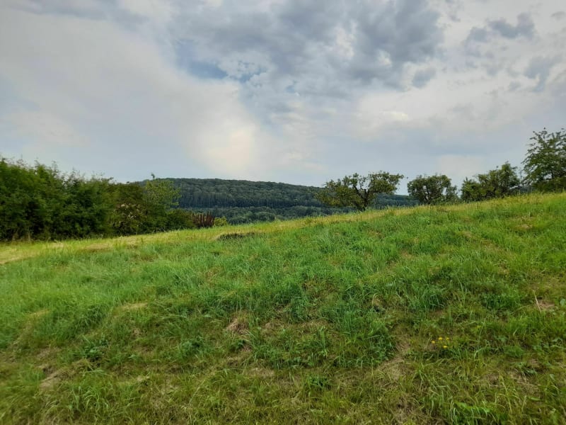 Noidans hauteurs - Noidans-lès-Vesoul