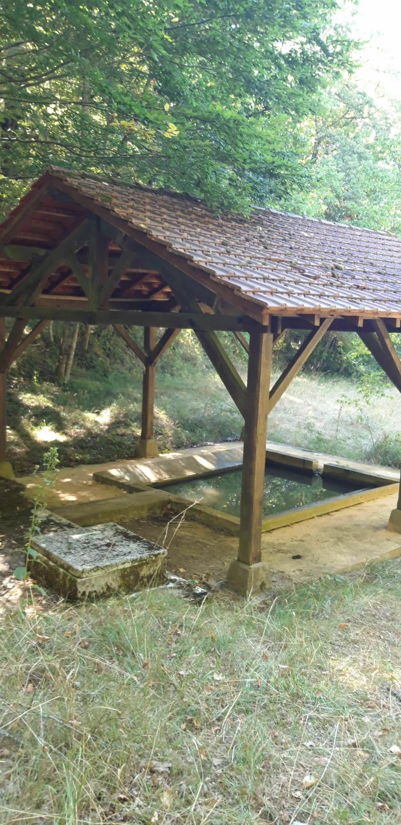 Balade dans les sous-bois autour de Saint Chamarand - Saint-Chamarand