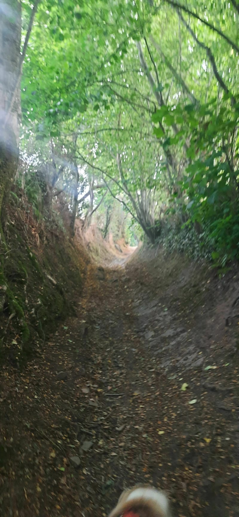 Trop agréable à Saint Ouen des Besaces - Souleuvre en Bocage