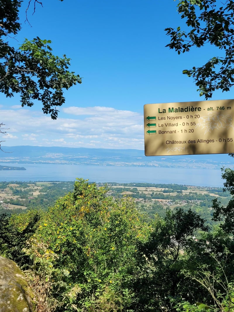La Maladière en famille - Allinges
