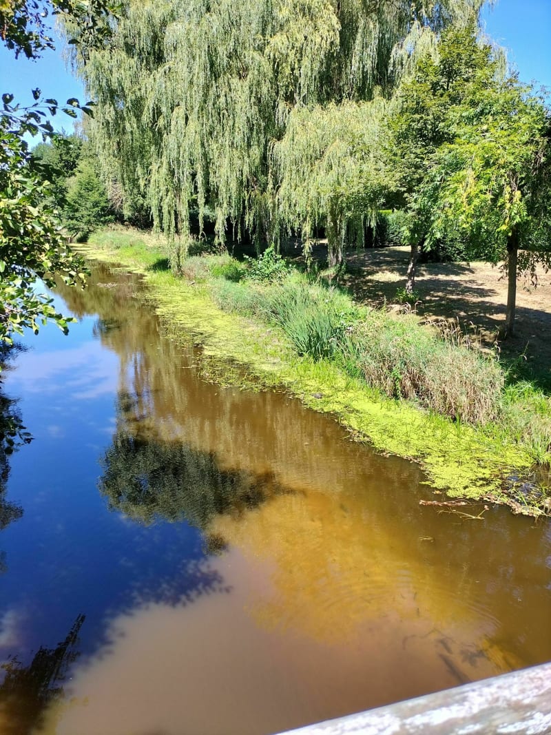 Bocage creusois en damier - Gouzon