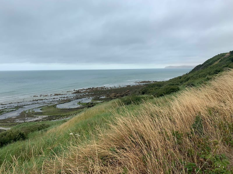 Balade au cap gris nez - Tardinghen