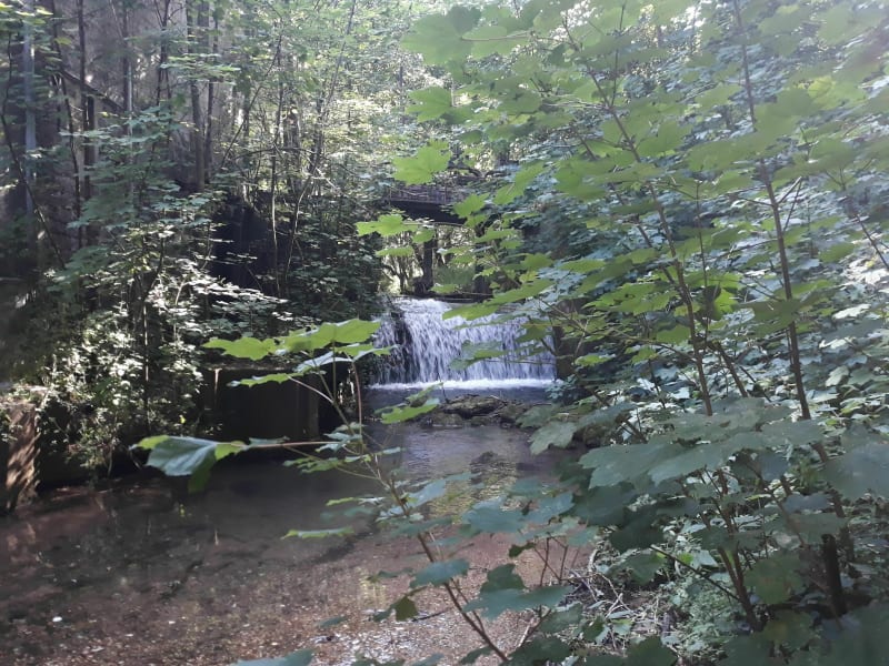 Entre Authie et Pas-en-Artois à VTT - Authie