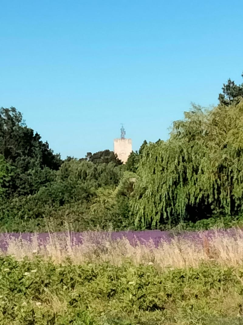 Belle balade entre St Didier, Puy bricon retour St Didier - Saint-Didier