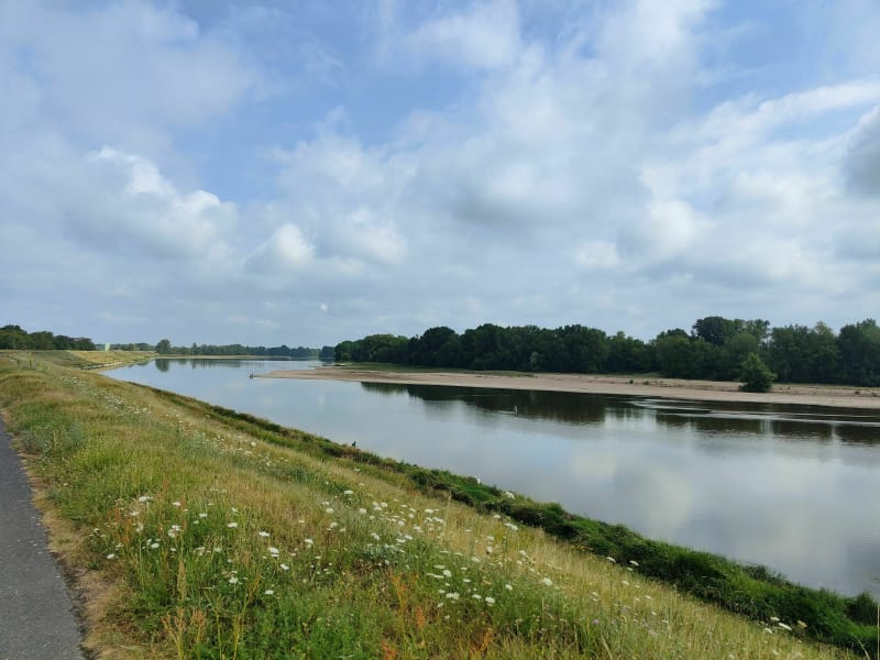 Balade champêtre et Ligérienne - Saint-Denis-en-Val