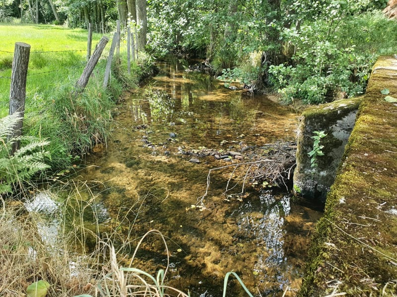 Balade autour de la Vêtre - Vêtre-sur-Anzon