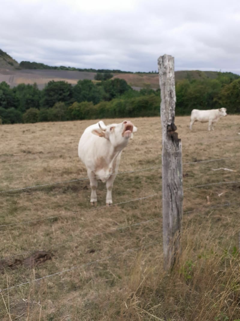 A travers les champs Burbure Allouagne Auchel - Auchel