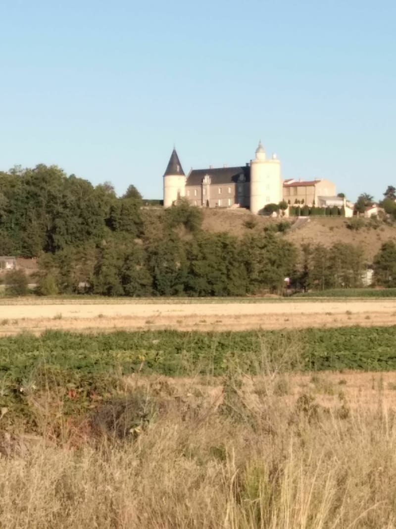 Les Étangs d'Andrezieux de Saint-Just-sur-Loire à VTC - Saint-Just-Saint-Rambert