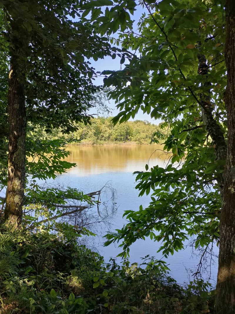 A l'ombre des bois de Saint Julien - Saint-Julien-de-l'Herms