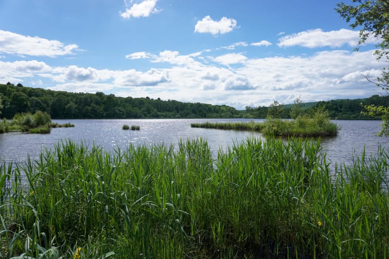 Balade à vélo au milieu des lacs de la Véronne et de Malsaucy - Évette-Salbert