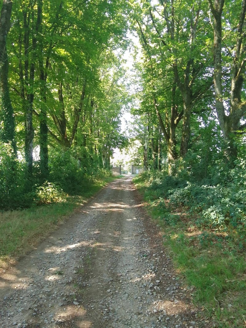 Balade de l'étang des landes - Saint-Paul