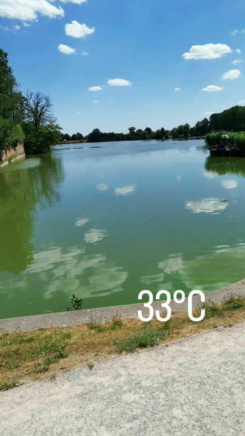 Tour du lac le Quesnoys - Le Quesnoy