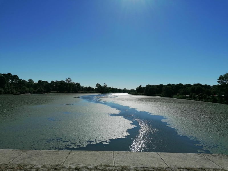 Balade en bord de Loire, Saint Jean de Boiseau - La Martinière - Saint Jean de Boiseau
