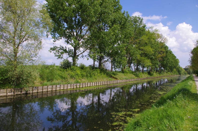 Bout-de-bois_blain - Blain