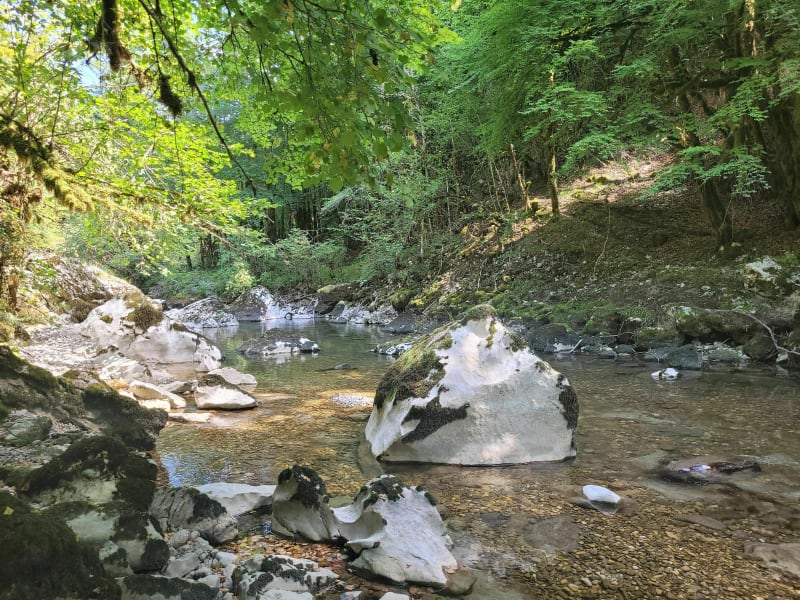 La Nanphée - Montanges