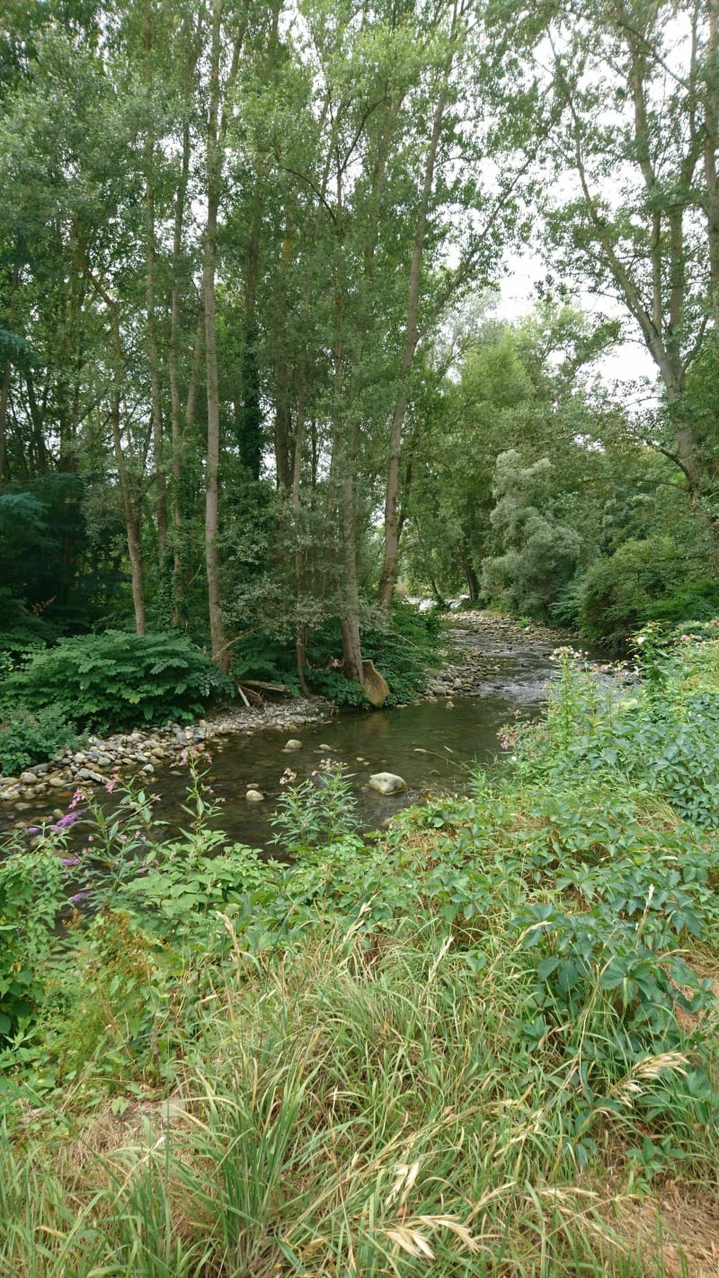 Promenade dominicale à Bordes-de-Rivière - Bordes-de-Rivière
