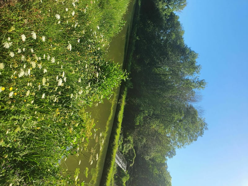 Boucle Villeneuve/Bléneau/Rosny/Briare. - Bléneau