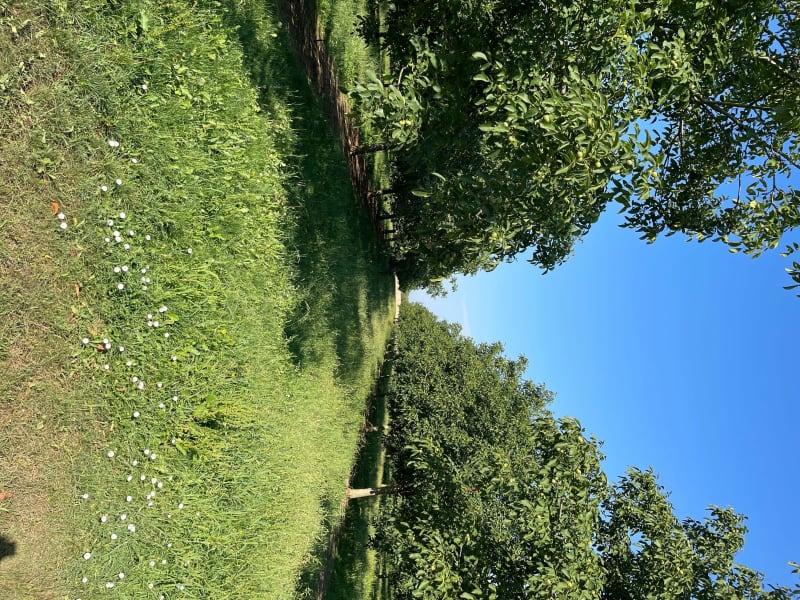 Les rives de l’Isère et ses Noyers - Saint-Hilaire-du-Rosier