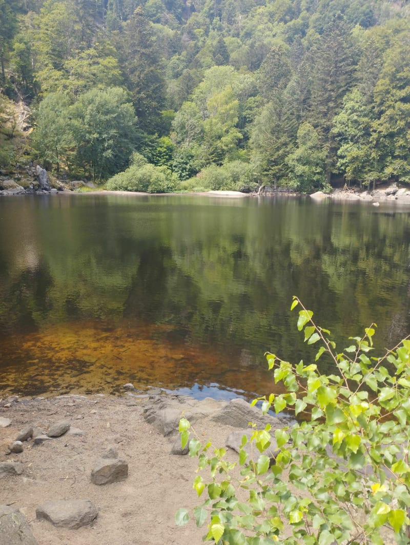 Lac du Fischboedle par la vallée de la Wormsa - Metzeral