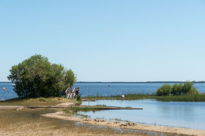 Le tour du Lac d'Hourtin et de Carcans - Carcans