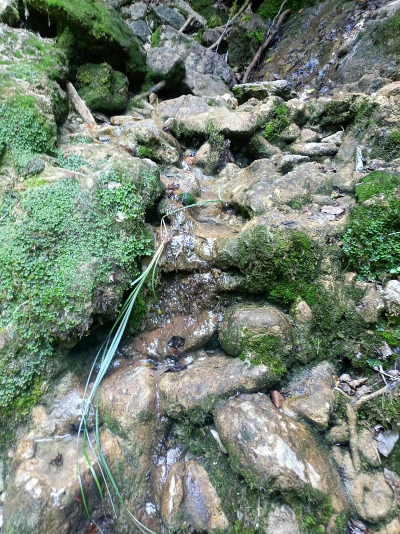 Direction la Source Bleue - Bolandoz
