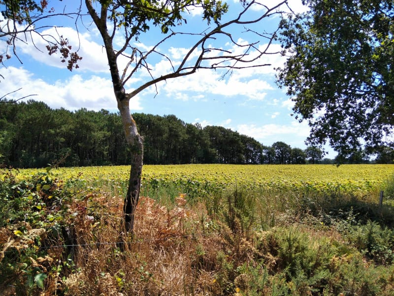 Petite balade sur chemins et routes tranquilles - Theix-Noyalo