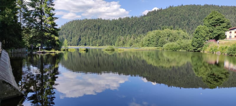 Balade tranquille au Lac de Luspach - La Bresse