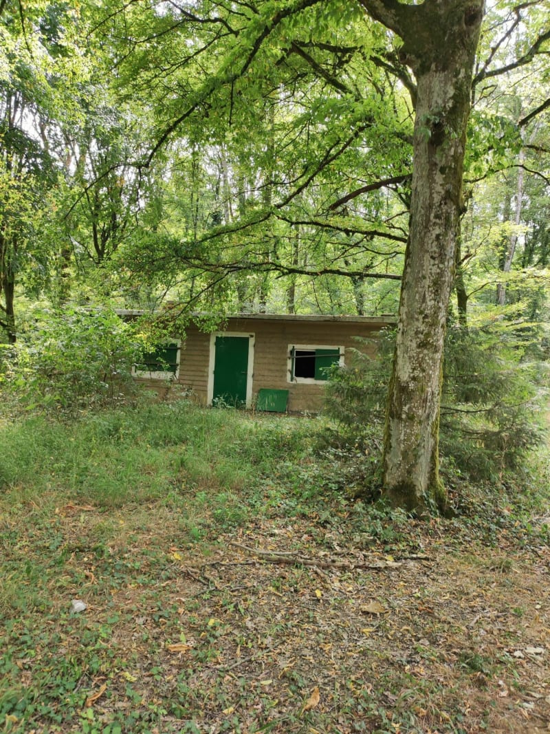 Wandelen in het Bois d'Elange - Thionville