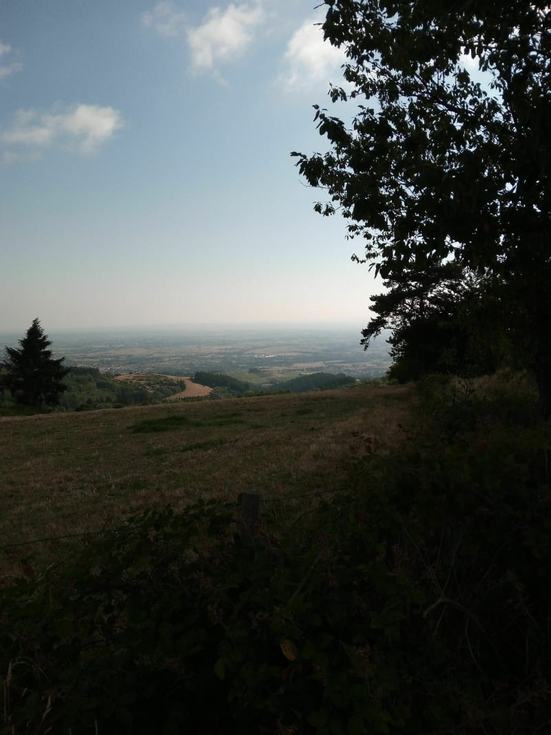 Les Murcins à St André d'Apchon - Saint-André-d'Apchon