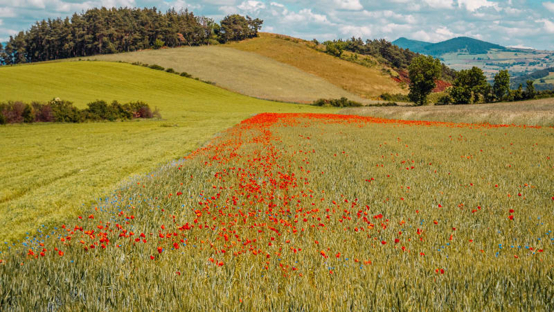 Boucle au Puy Maurel - Gap