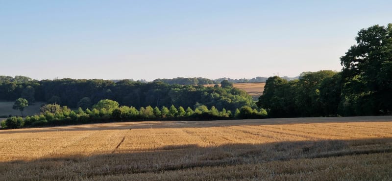 Boucle Val-de-Saâne Traversain Bois de Belleville-en-Caux - Val-de-Saâne