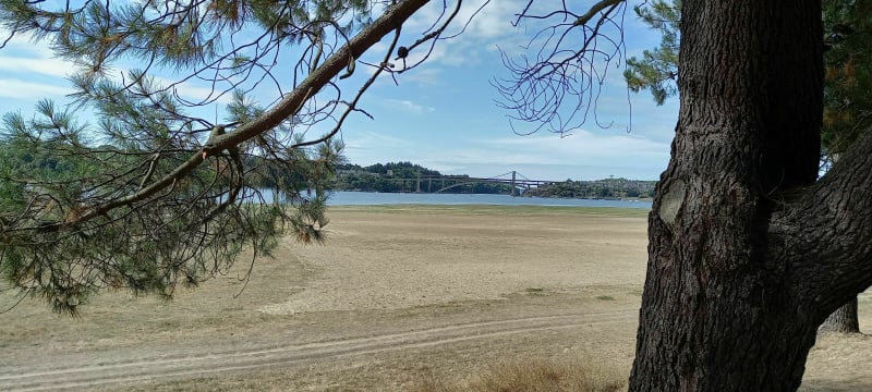 Balade champêtre au milieu des pommiers, en bord de Rance - Pleudihen-sur-Rance