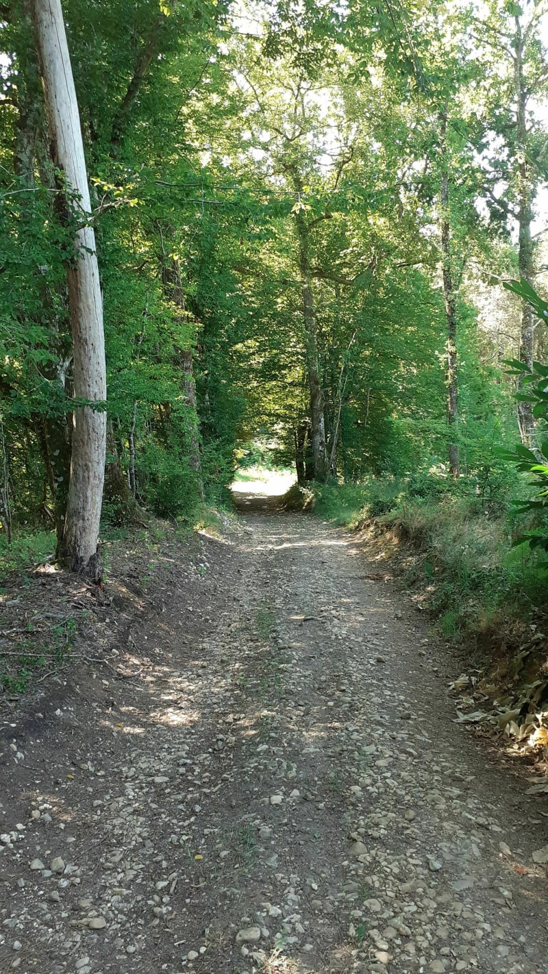 Balade au calme autour de Milhac - Bassillac et Auberoche