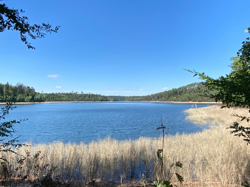 Lac de Pierre Percée - Pierre-Percée