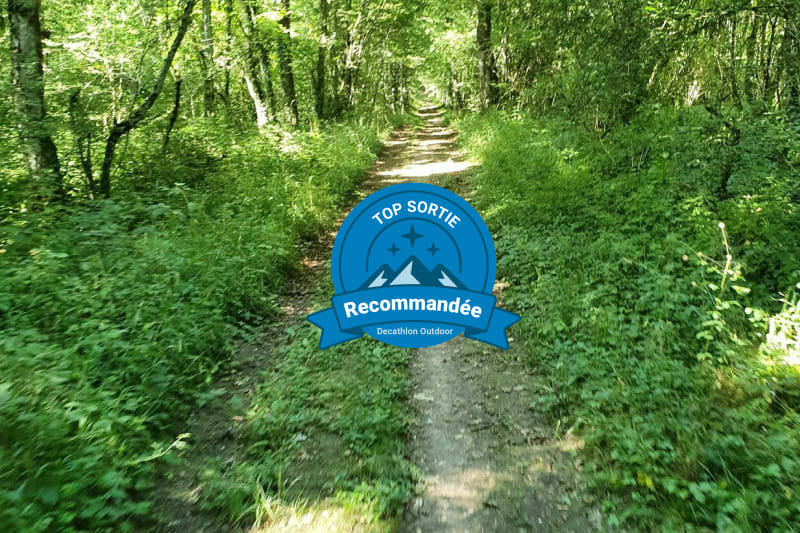 VTT de 33kms chemin blanc terre et sentier dans les bois. - Dijon