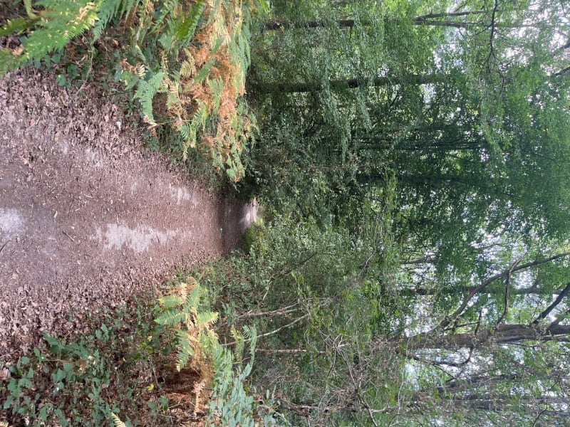 Bois de Champrond et Butte de Saint Serge - Champrond-en-Perchet