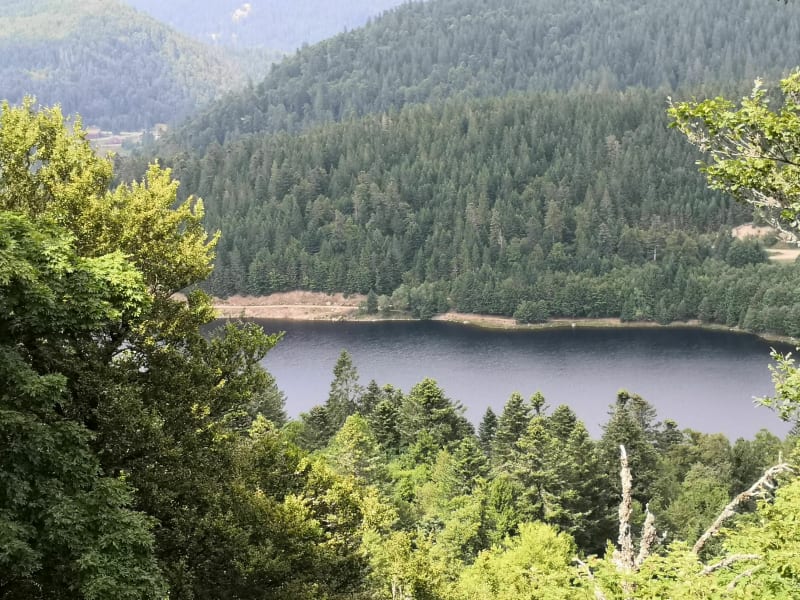 En passant par Atrimont - La Bresse