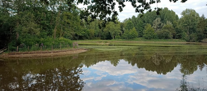 Maak een lus rond de meren Perlic en Carolins - Lons