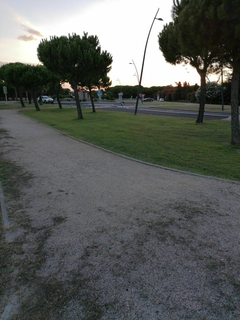 Balade dans la pinède - Le Barcarès